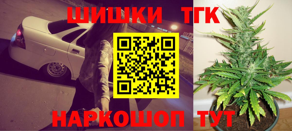 Каннабис сатива Ставрополь